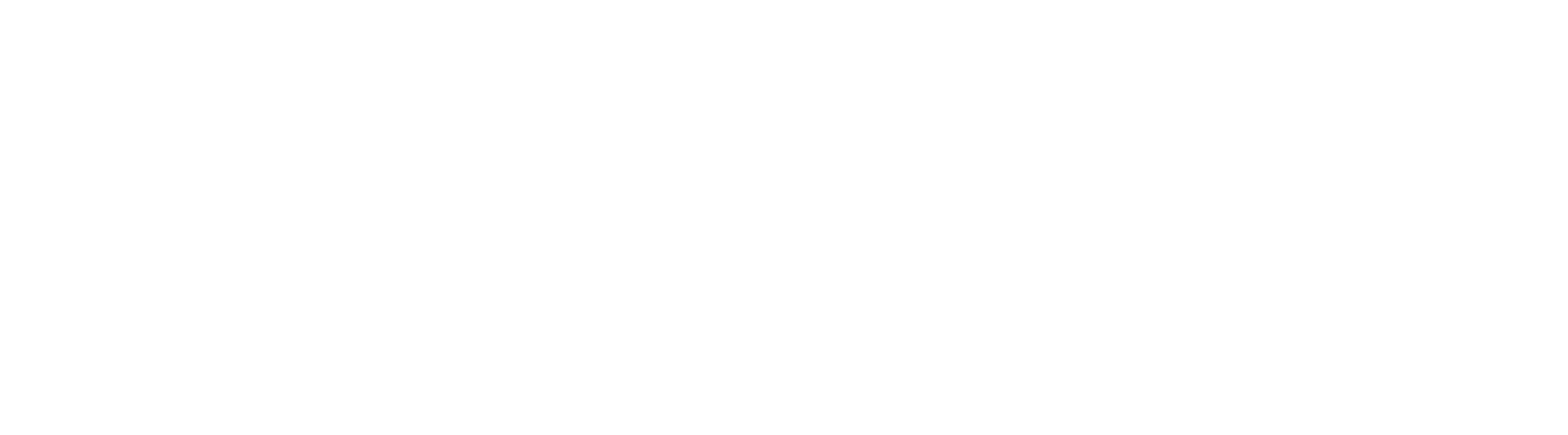 TRANSMASIVO